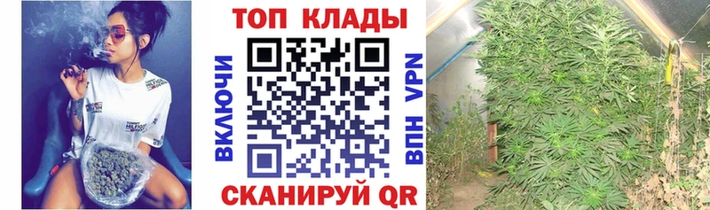 Наркотические вещества Химки Альфа ПВП  Бошки Шишки  Меф  ГАШИШ  COCAIN 