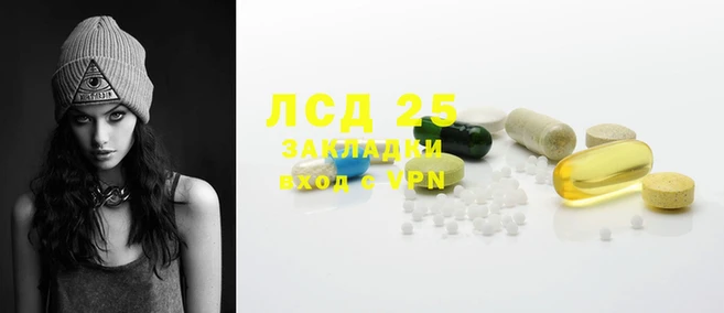 индика Кострома