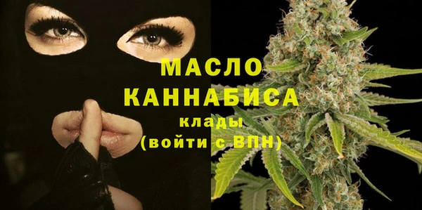 индика Кострома