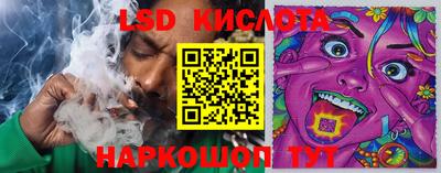 дмт Камышлов
