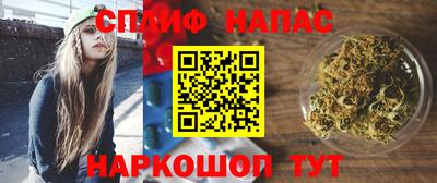 дмт Камышлов