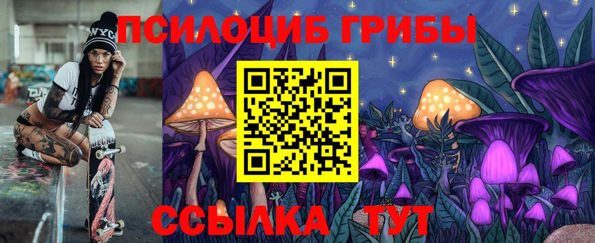 Химки  Галлюциногенные грибы Psilocybe  Вход с VPN 