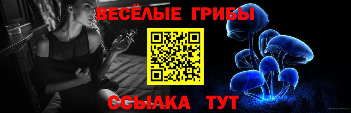 Галлюциногенные грибы Psilocybine cubensis Химки